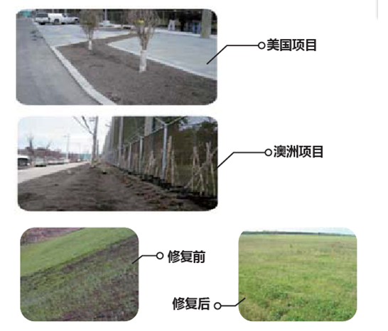 活性過濾調(diào)理劑-