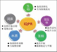 iqpr水體修復(fù)技術(shù)- iqpr水體修復(fù)技術(shù)-