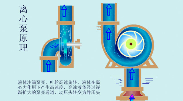 離心泵啟動時，出口閥門必須關閉嗎？