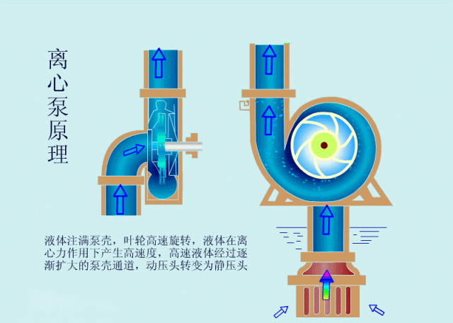 離心泵啟動時，出口閥門必須關閉嗎？-