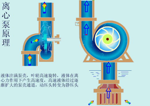 給（gei）水泵、給（ji）水泵別再傻傻分不清楚（內含動畫）-