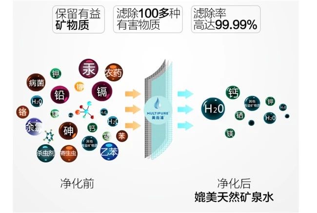 中國市場世界機遇，這些流體機械領域的展商也去進博會啦！-