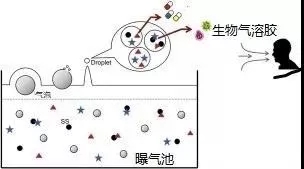 污水廠內的生物氣溶膠怎么產生，污水從業人員如何做好防護？-