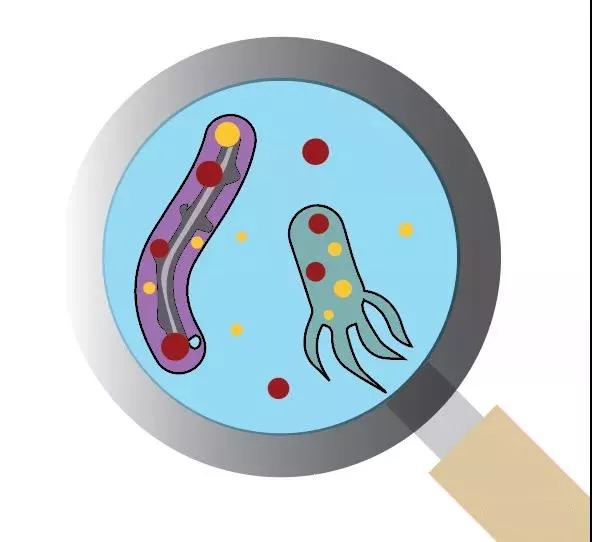 污水廠內的生物氣溶膠怎么產生，污水從業人員如何做好防護？-