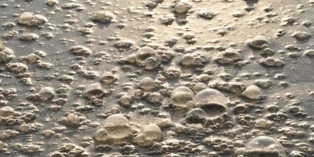 污水廠內的生物氣溶膠怎么產生，污水從業人員如何做好防護？-