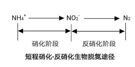 生化法除氨氮的技術(shù)匯總！-