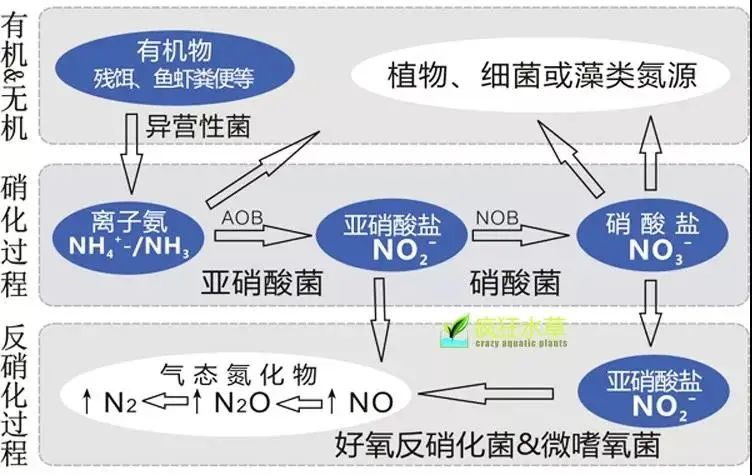 面對低濃度氨氮工業廢水束手無策？這幾種方法可以解決-